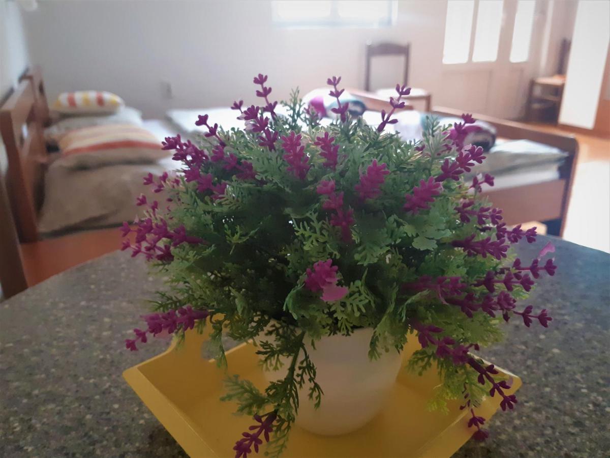 Guest House Domig Licko Lesce Buitenkant foto